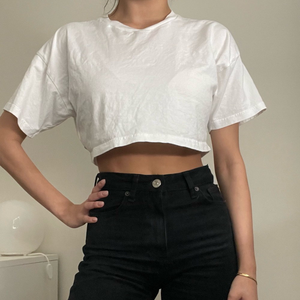 Aritzia Crop Tee